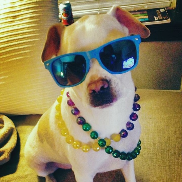 Meet your Posher, Danielle - Picture 1 of 1